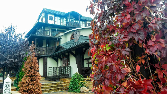 Czarci Młyn - Sosnowiec