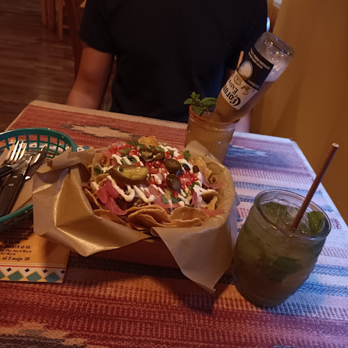 Biała Małpa - Katowice