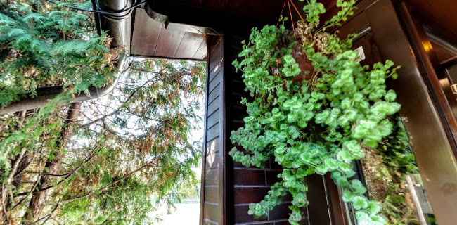 Osiedle Złotego Wieku 84, 31-618 Kraków