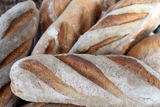 Piekarnia domowa Paweł Podedworny