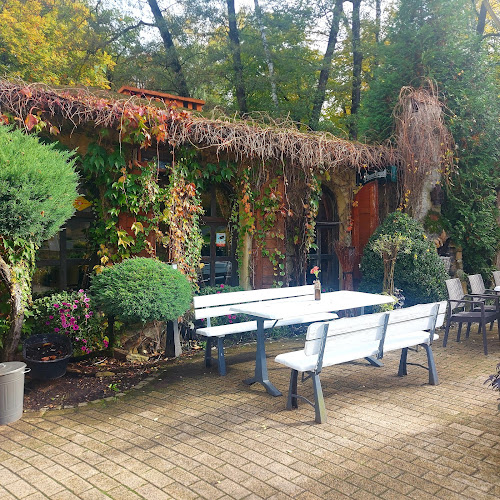 Amorek. Kawiarnia. Staniek K. - Głuchołazy