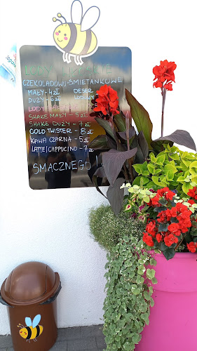 FABRYKA LODÓW Open Times