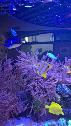 Restauracja Gdańsk - Jelitkowo | Restauracja Nad Potokiem - Gdańsk