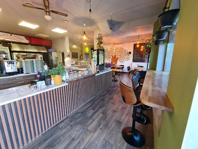 Comentarii opinii despre Pizzeria Stacholino