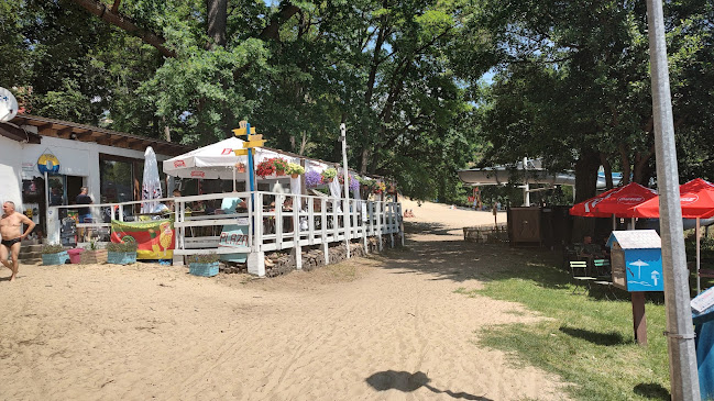 Comentarii opinii despre SMAŻALNIA PYCHA RYBA