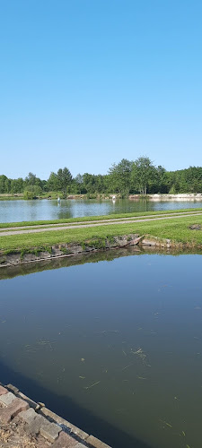 Smażalnia Ryb Chościszowice - Chościszowice