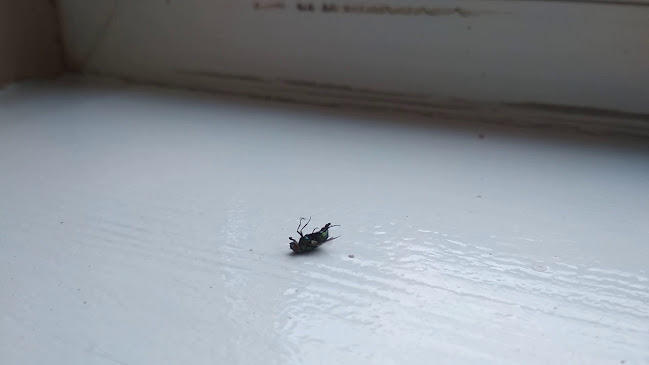 Zajazd i Gospodarstwo Agroturystyczne Głowaczówka - restauracja i noclegi - Ruda Sułowska