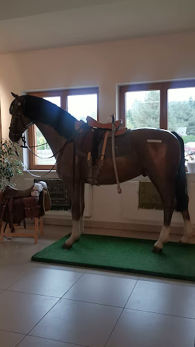 Comentarii opinii despre Tatarska Jurta