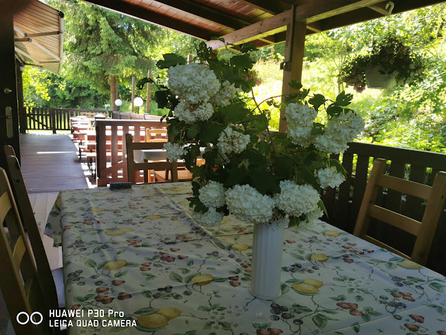 Restauracja "Pod Bażantami" - Gastronomia