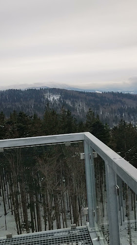 Opinii despre Polska Chata în Lądek-Zdrój - Gastronomia