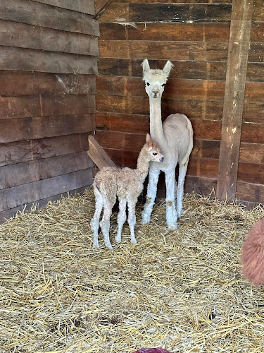 Łużycka 44, 11-040 Dobre Miasto
