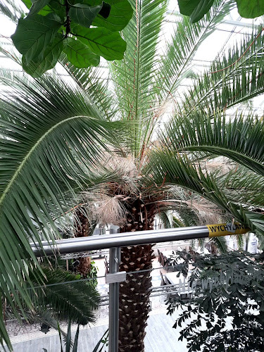 Comentarii opinii despre Restauracja Palmiarnia