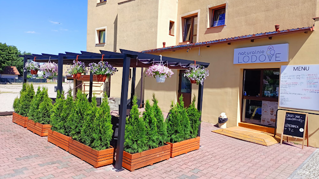 Opinii despre naturalnie LODOVE în Biskupiec - Gastronomia