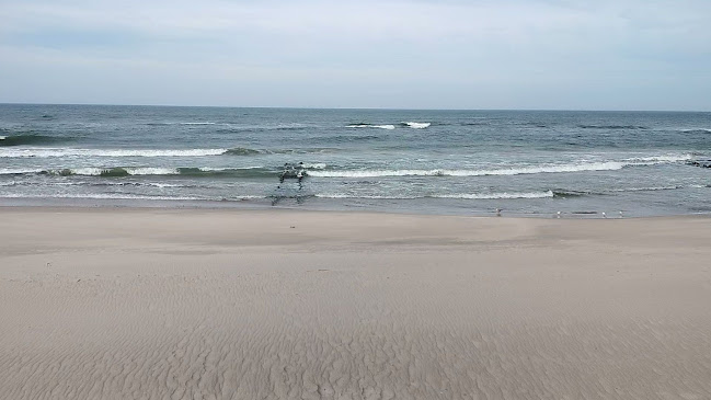 Restauracja PLUSK fish & pizza Sarbinowo - Sarbinowo