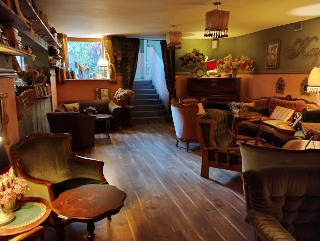 Comentarii opinii despre ''Kafeteria''