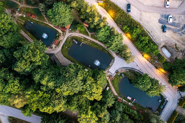 Restauracja Przy Młynie - Gastronomia