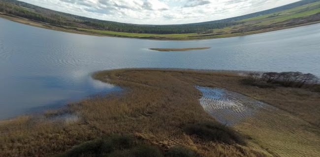 Opinii despre Bar 'Przystań' i Parking în Gwieździn - Gastronomia