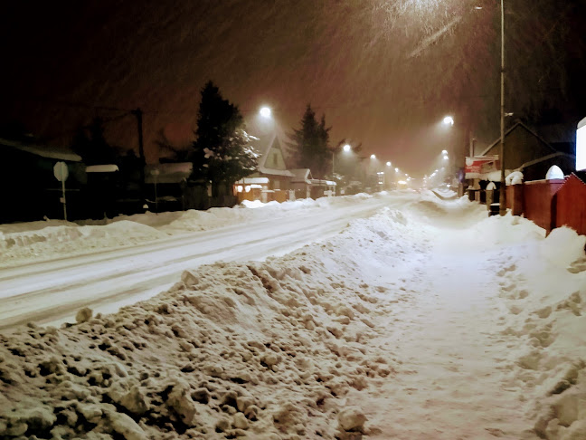 Comentarii opinii despre Restauracja Pensjonat Lustrzany Zakątek