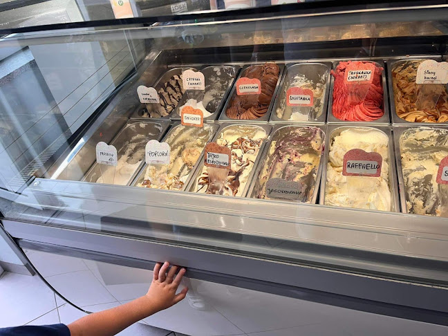 Lody Reymonta - Lody Rzemieślnicze