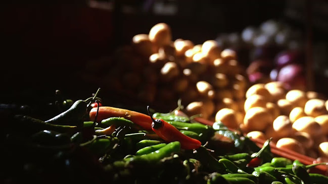 Comentarii opinii despre Indus Tandoor