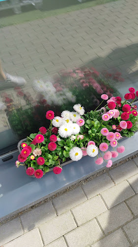 Opinii despre Lodziarnia Na Językach în Wrocław - Gastronomia