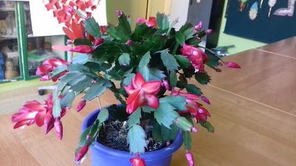 Postęp Sp. z o.o. Żywienie zbiorowe. Catering