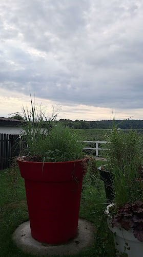 Bar Pod Papugami - Gastronomia