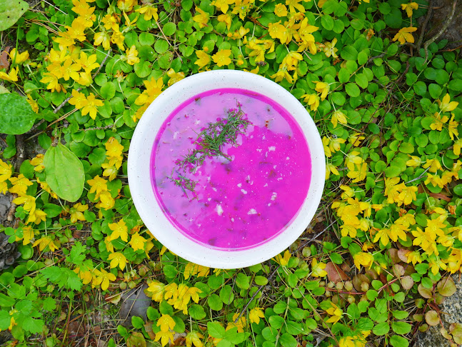 Comentarii opinii despre Kuchnia Regionalna Jasnochówka