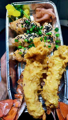 Comentarii opinii despre POP Tobiasz Wróblewski