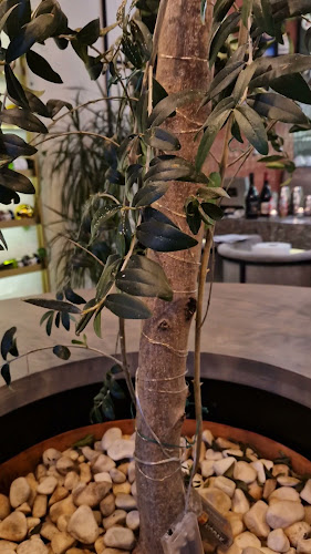 AWOKADO - Częstochowa