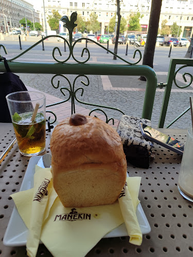 Comentarii opinii despre Manekin