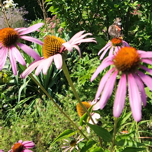 Sapori Pazzi "Archiwum Smaku" - Zielona Góra