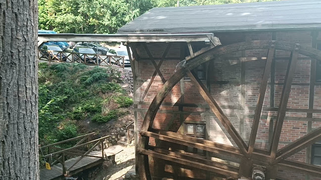 Opinii despre Diabelski Młyn în Koronowo - Gastronomia