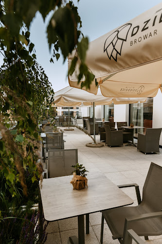 Restauracja VISLOW - Gastronomia