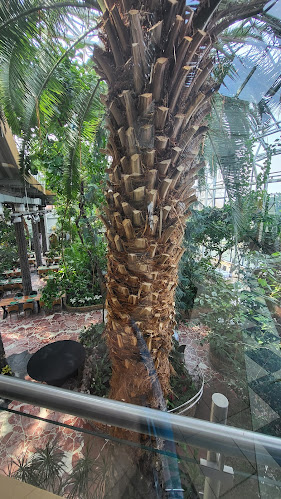 Comentarii opinii despre Restauracja Palmiarnia