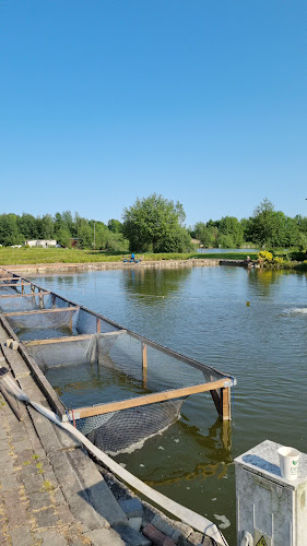 Opinii despre Smażalnia Ryb Chościszowice în Chościszowice - Gastronomia