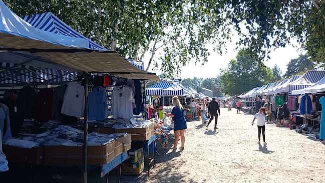 GIEŁDA i PCHLI TARG ROSZKOWO / Pruszcz Gdański