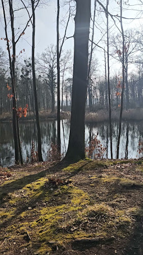 Opinii despre Świątynia Diany în Grodków - Gastronomia