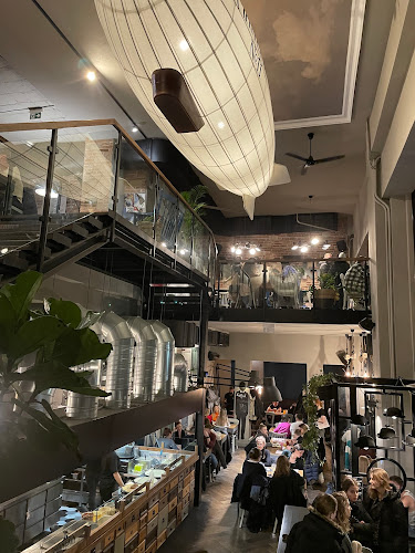 Comentarii opinii despre Manekin