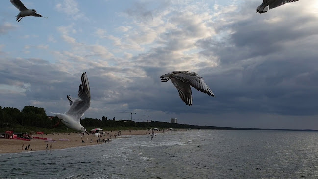 Black & White Grill & Drink Bar - Międzyzdroje