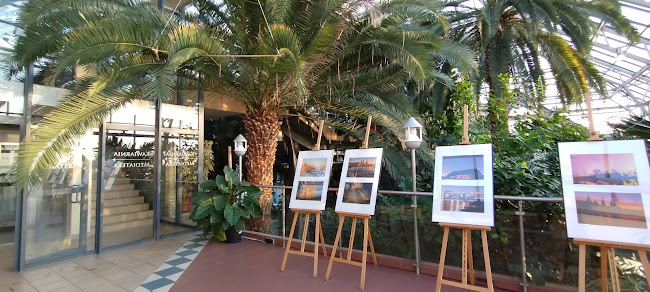 Restauracja Palmiarnia - Zielona Góra