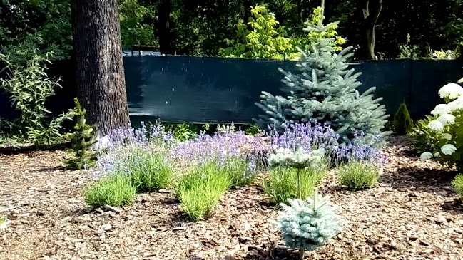 Comentarii opinii despre Restauracja Hotel Pod Dębami