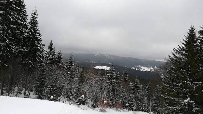 RF7W+PH, 58-580 Szklarska Poręba