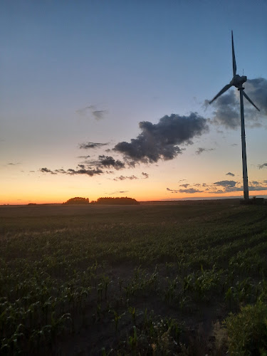 Comentarii opinii despre hydrofornia