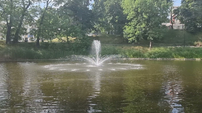 Piotra Skargi / Podwale, 50-001 Wrocław