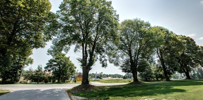 Comentarii opinii despre Karczma Zbójnicka