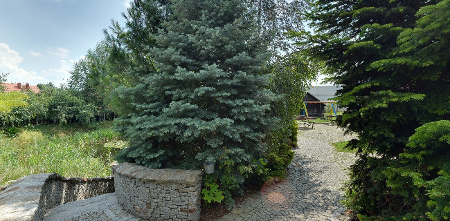 Reviews of Stary Młyn Hotel Restauracja in Świdnica - Gastronomia