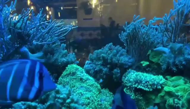 American Sport Nowy Sącz - Nowy Sącz