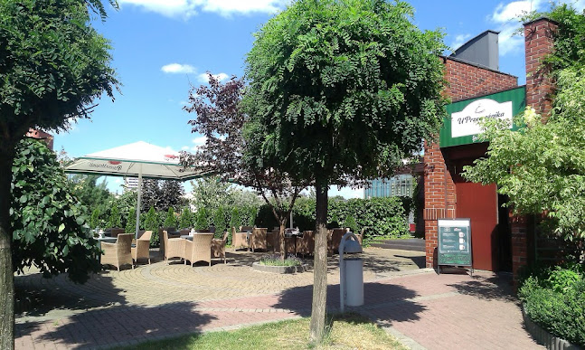 Comentarii opinii despre Restauracja „U Przewoźnika”