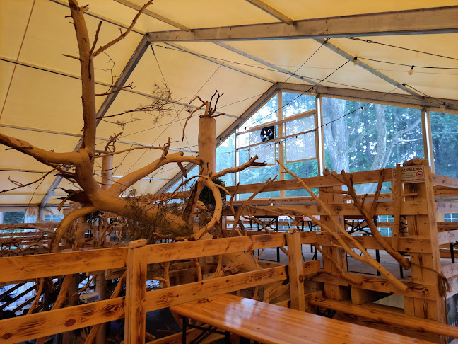 Comentarii opinii despre Pub Utropek w Ustroniu